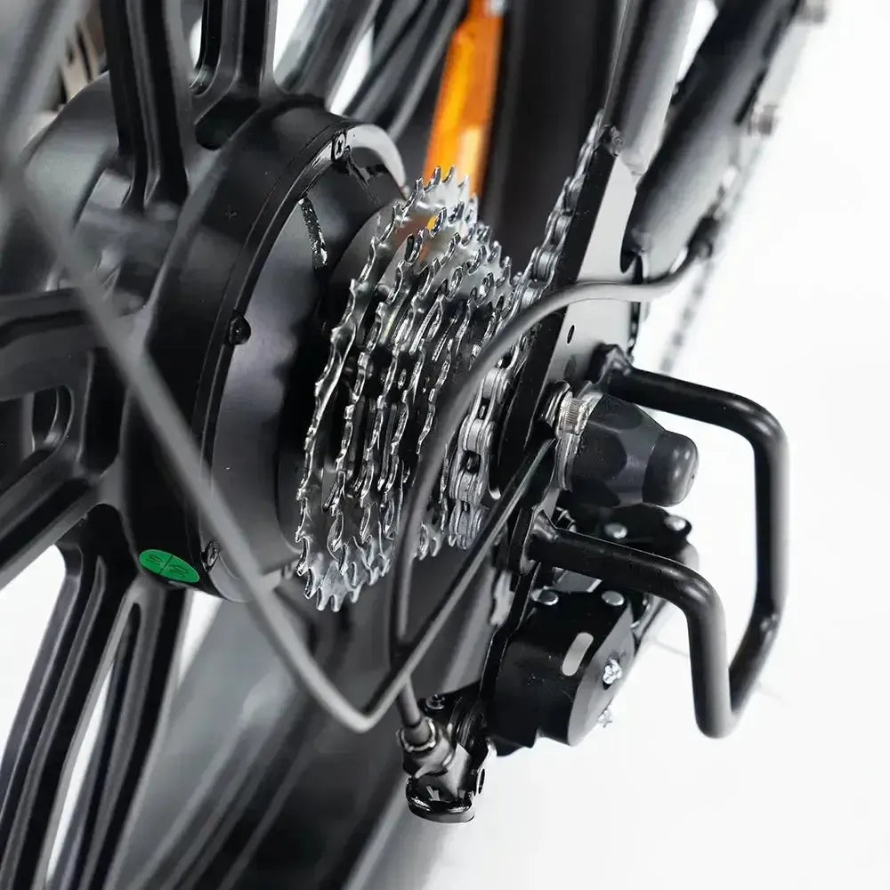 Fatbike V20 Pro 9.0 - Zwart - Hydraulische Remmen motor
