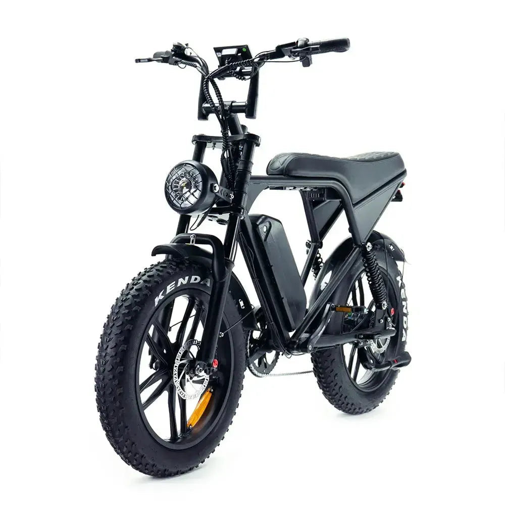 v8 pro fatbike ouxi 24inch
