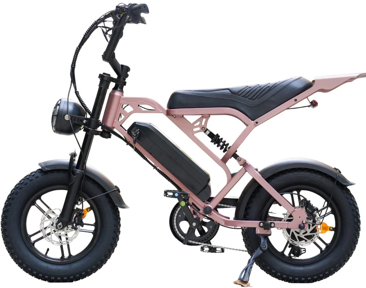 V20 Mini rose goud hydraulische remmen mini fatbike accu en vering