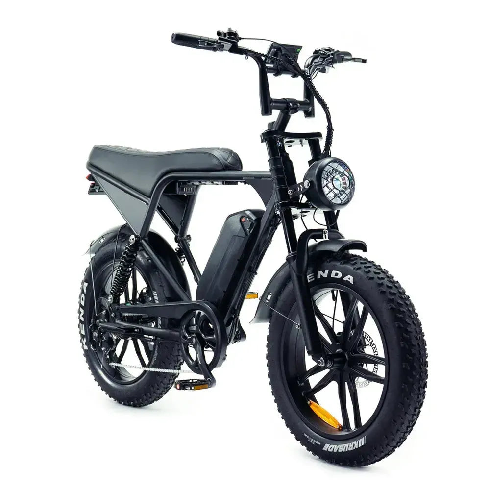v8 24inch fatbike